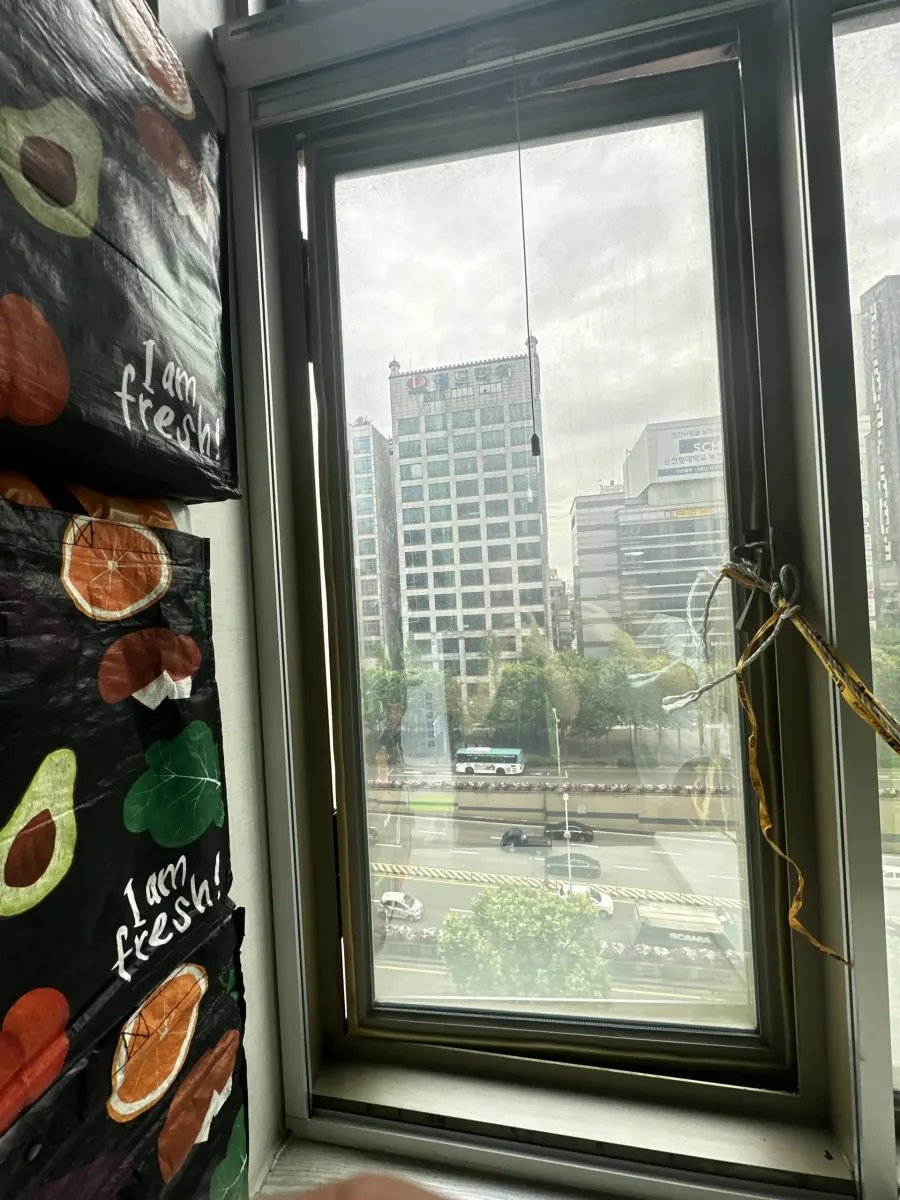 캐시먼트창문 잠금장치 확인